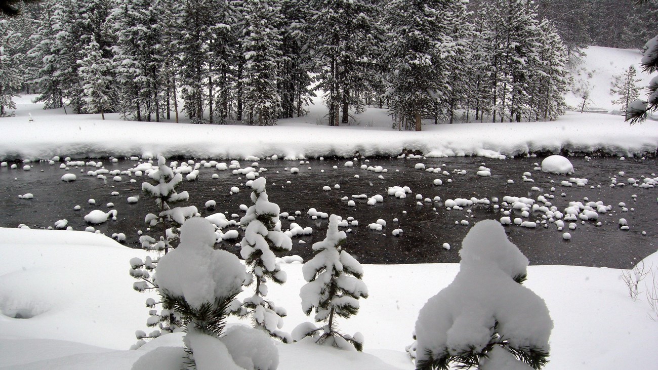 Pillows of snow top rocks and trees along Soda Butte Creek as seen from the Bannock ski trail.