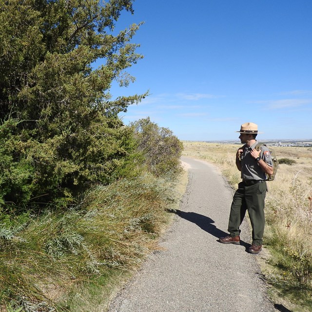A park ranger stands next to an area of dense vegetation. 