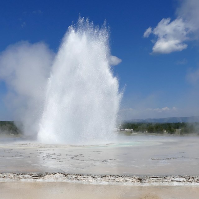 Great Fountain Geyser erupting water into the air.