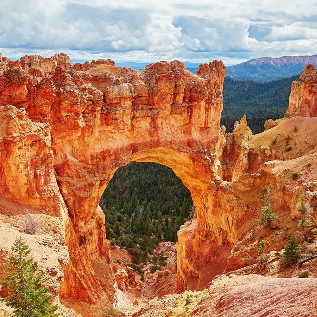 A red rock formation creates a bridge formation. 