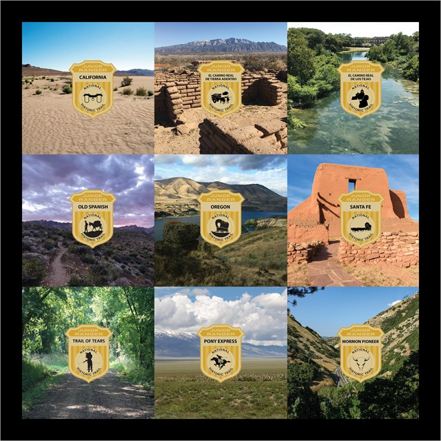 Squares of trail site pictures with images of junior ranger badges.