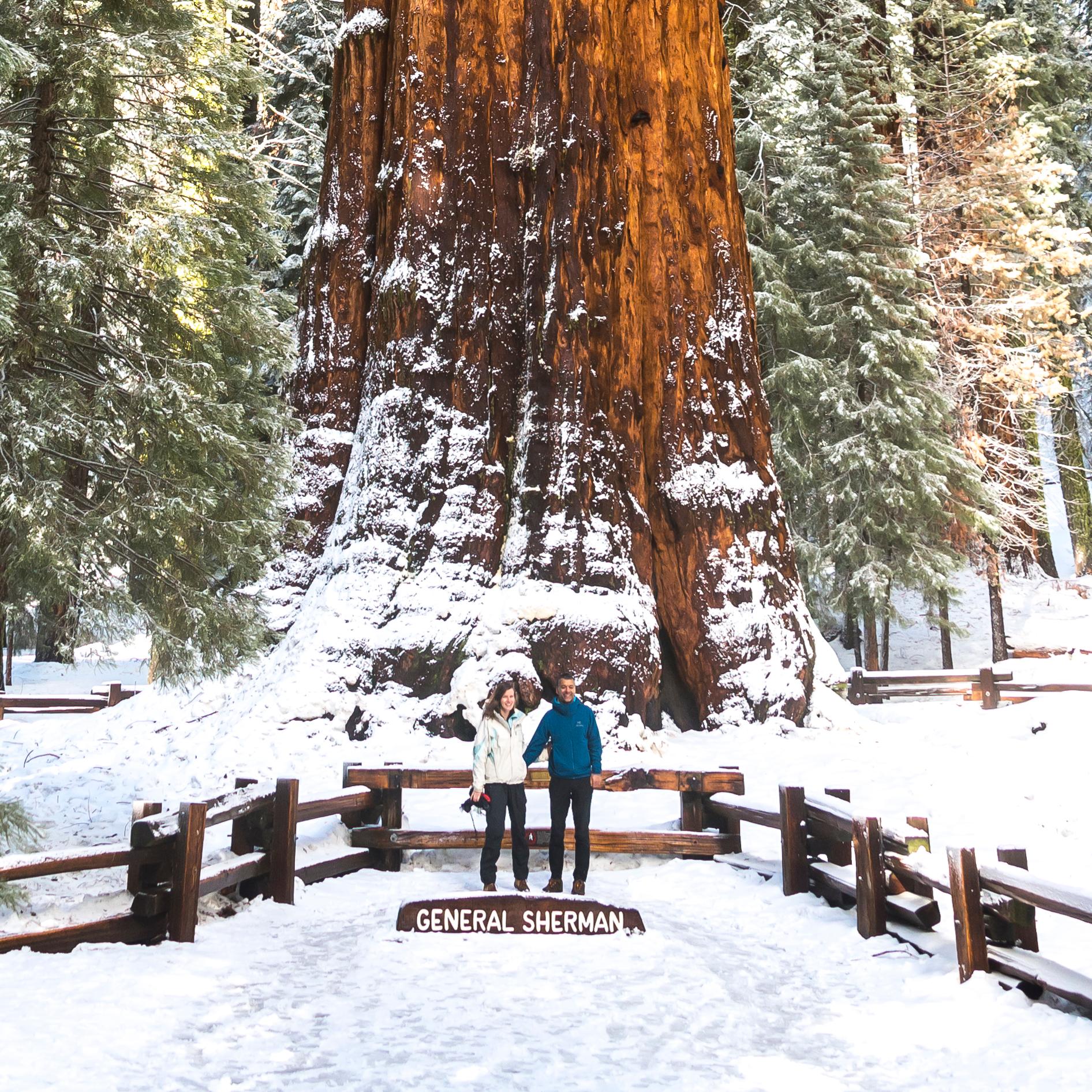 Two visitors pose underneath the General Sherman tree in the snow.