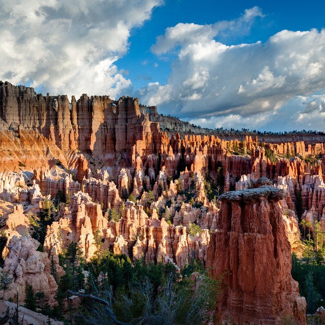 A landscape of red rocks