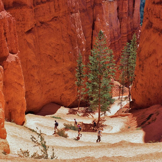 Hikers descend switchbacks between tall red rock walls.
