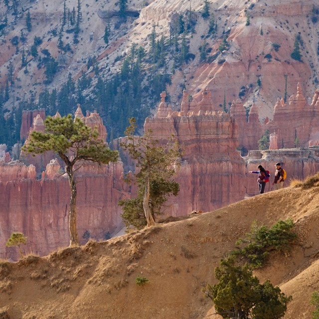 Hikers descend a trail surrounded by red rock formations.