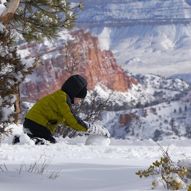 A young boy in a blue coat plays in the snow.