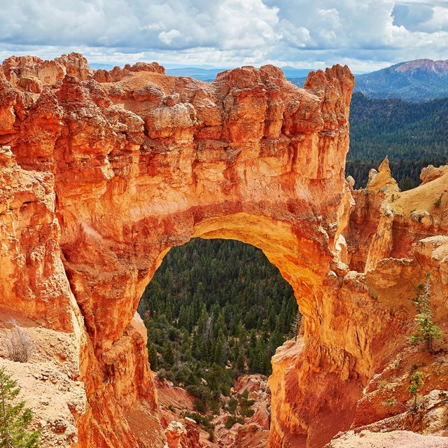 A red rock formation creates a bridge formation. 