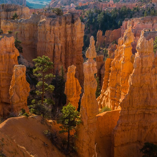 Red rock formations as seen from above. 