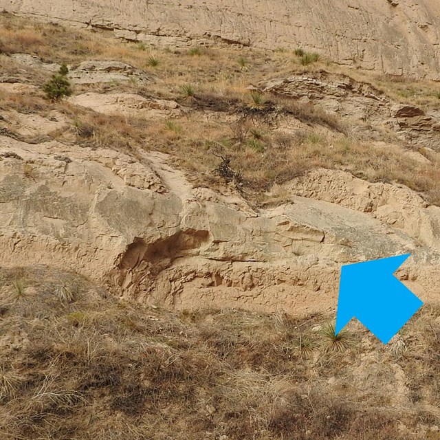 A distinct line is seen where the Gering Formation makes contact with the underlying Whitney Member.