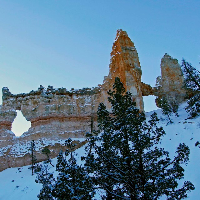 A view up at a towering rock formation covered in snow.