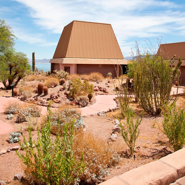 A landscaped desert environment in front of a building.