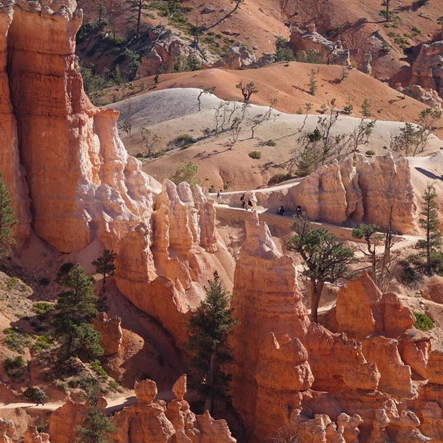 Hikers walk along a trail surrounded by red rock formations.