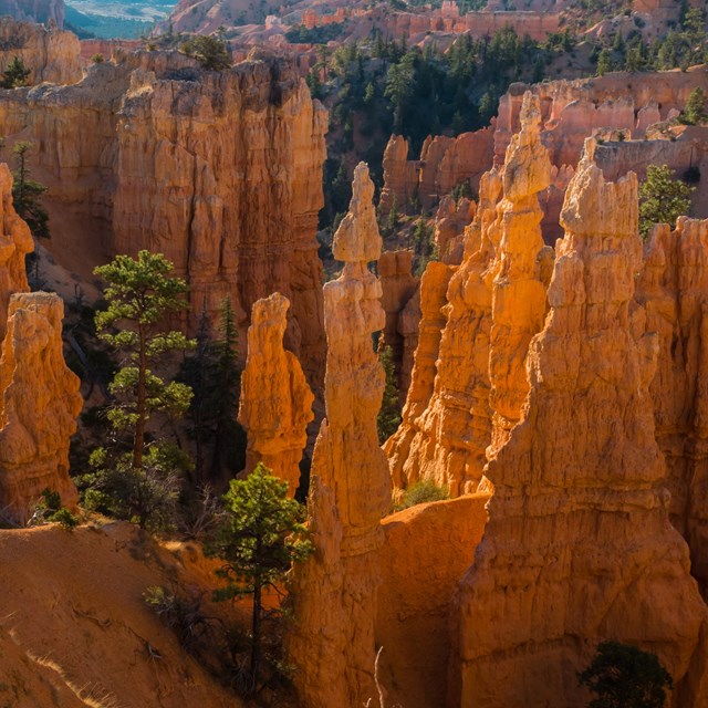 Red rock formations as seen from above on the Fairyland Loop Trail