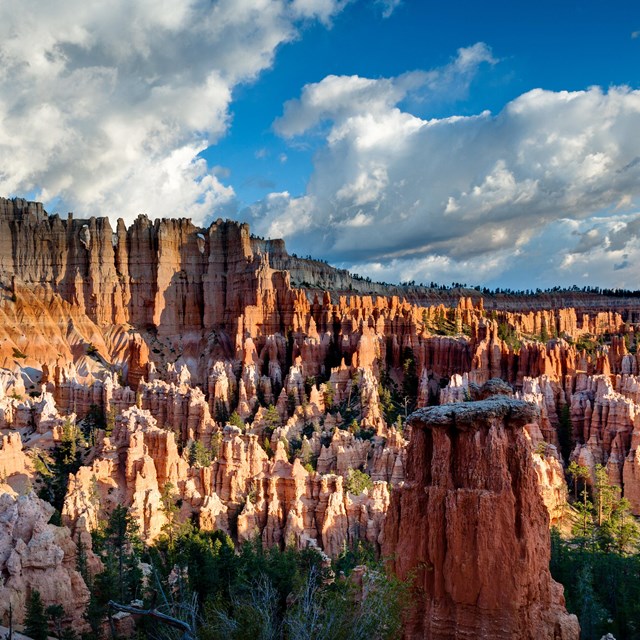 An amphitheater full of jagged red rock formations against a blue sky.