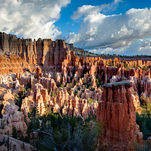 An amphitheater full of jagged red rock formations against a blue sky. 