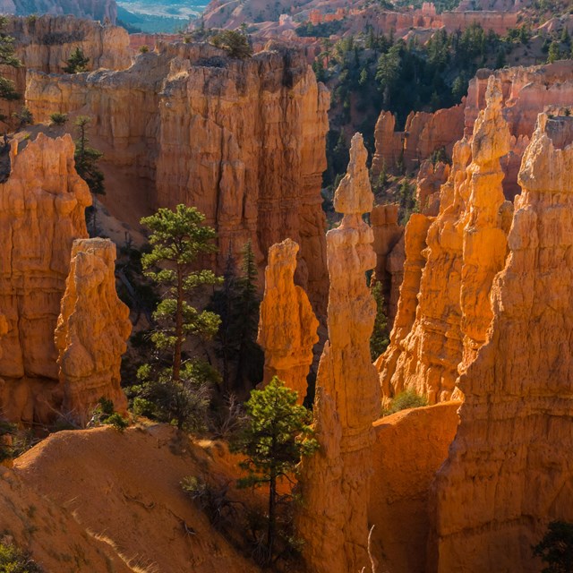 Red rock formations as seen from above on the Fairyland Loop Trail