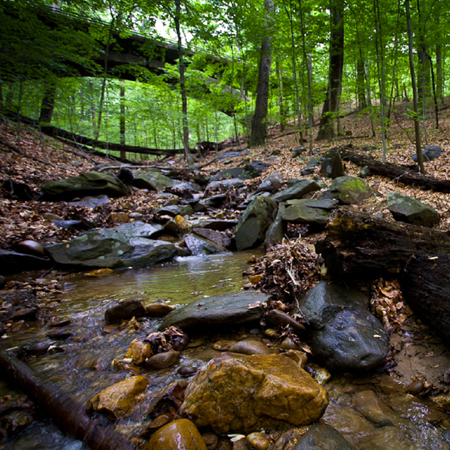 Stream running under Boulder Bridge.