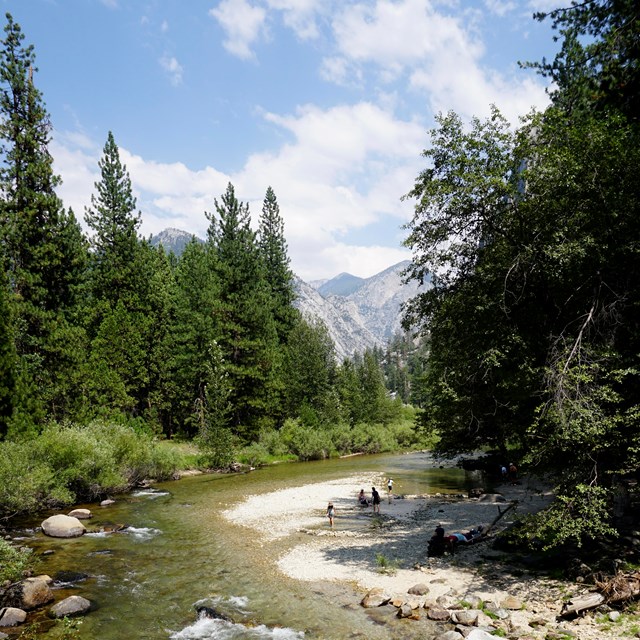 A large river winds through a forested landscape.