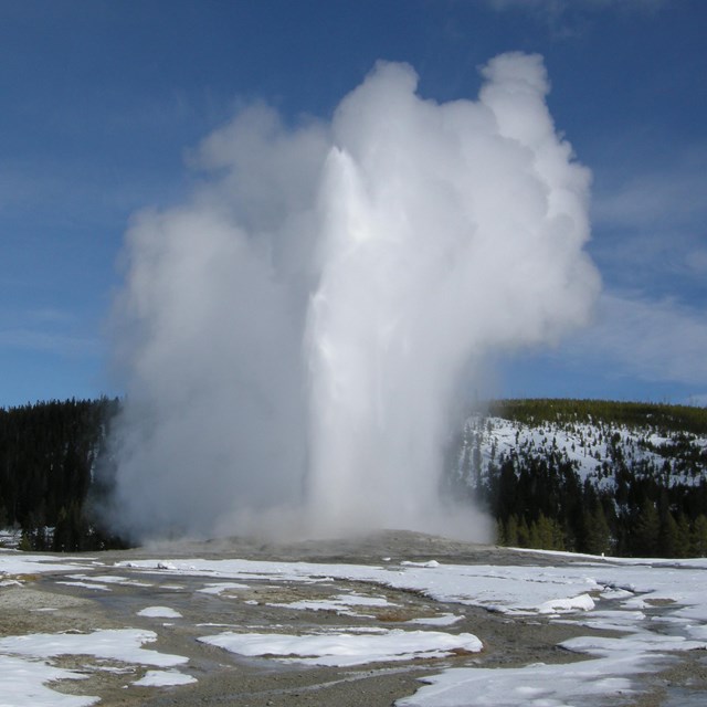 Old Faithful Geyser erupting with snow still on the ground