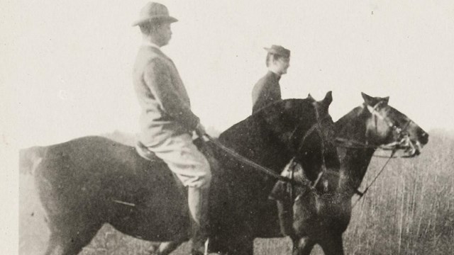 Black and white image of TR & horses