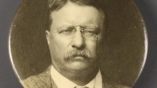 Picture of campaign pin that says Theodore Roosevelt For President