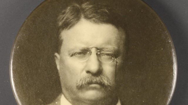 Picture of campaign pin that says Theodore Roosevelt For President