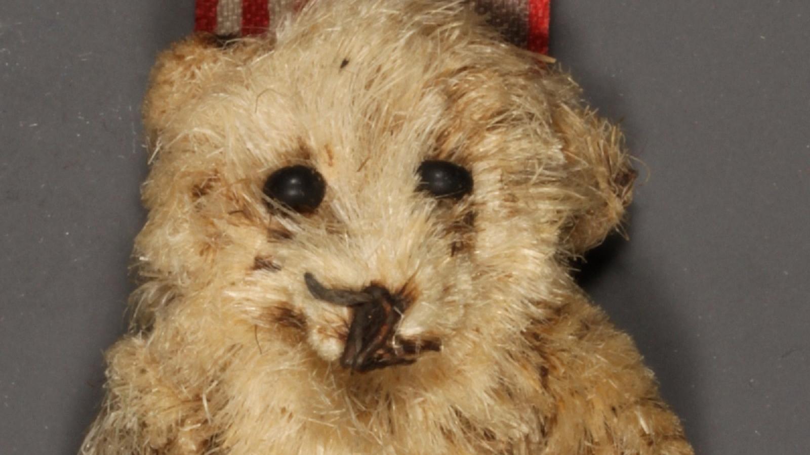 Image of a campaign pin with a little stuffed bear hanging on it. 