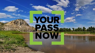Buy your weekly or annual pass online before you visit!