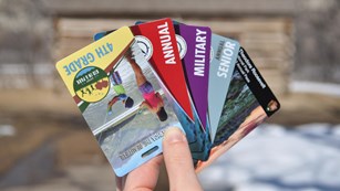 A hand holds an array of credit-card sized national park passes