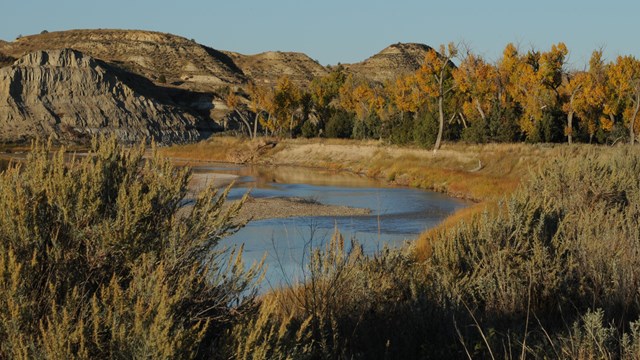 A view through grasses of the Little Missouri River with buttes in the background.
