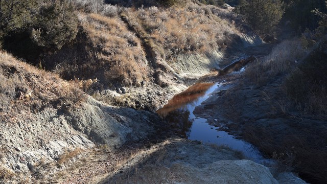 A small creek bed filled with brown water.