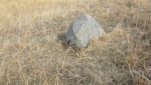 A large boulder in a grassland.