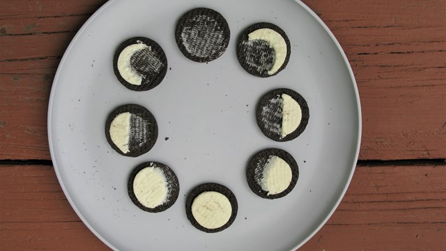 cookies arranged in a circle as eight phases of the moon 