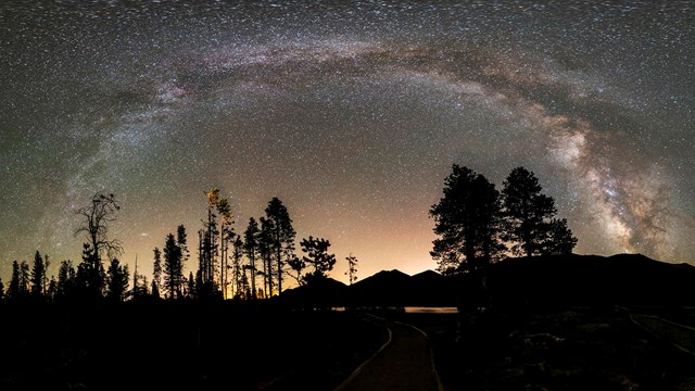 Night sky & trees