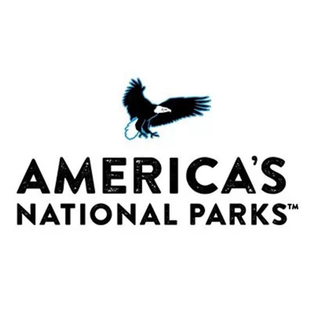 A Bald Eagle flying with text 