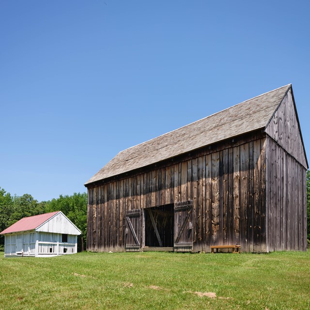 A brown barn sitting next to a smaller white barn in a green field with trees and blue sky.