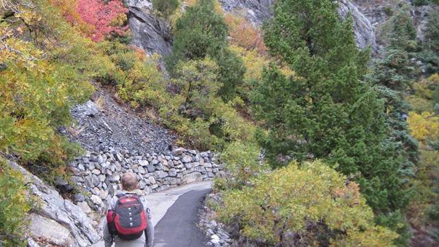 Young boy on autumn trail