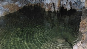 A water droplet makes ripples in Hansen Cave lake