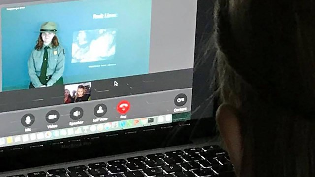 A student looking at a ranger on a laptop screen.