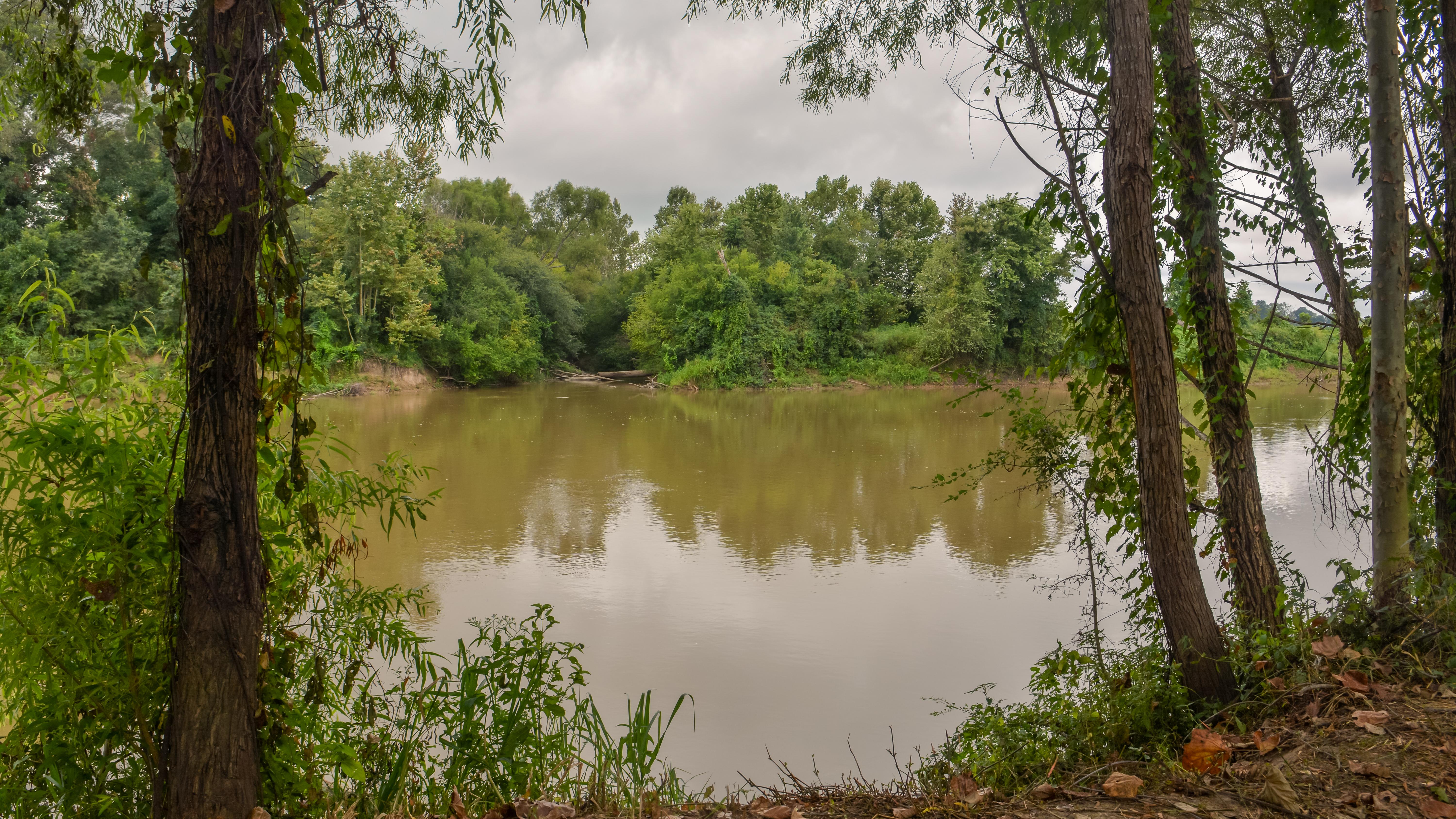 A muddy river visible between trees
