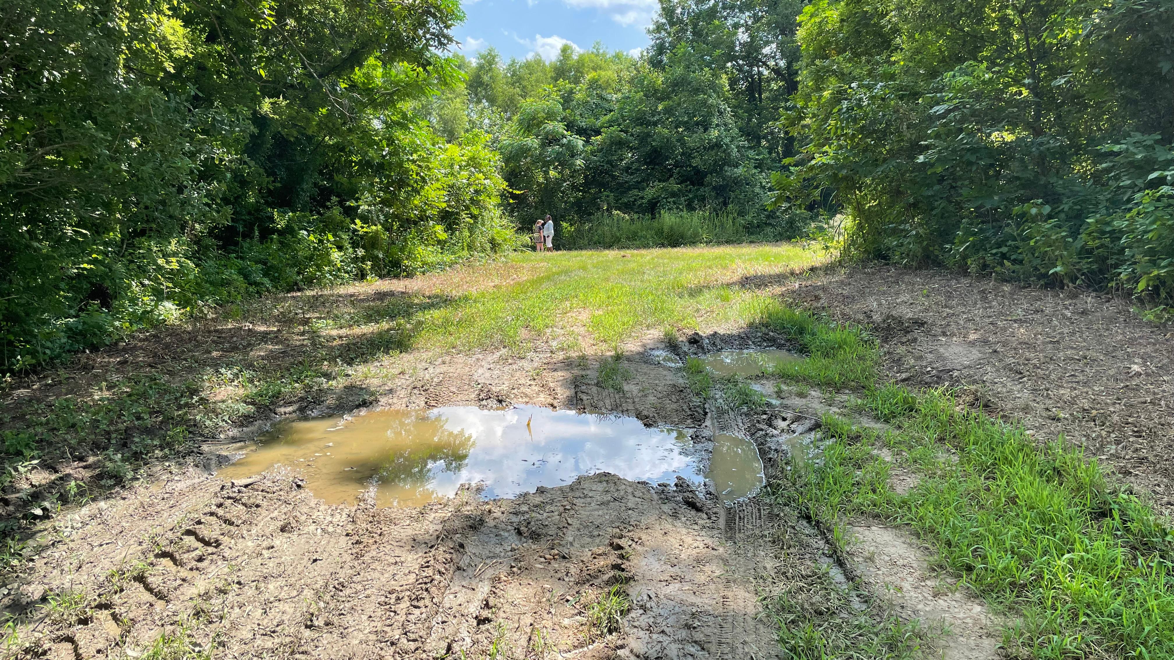 muddy road