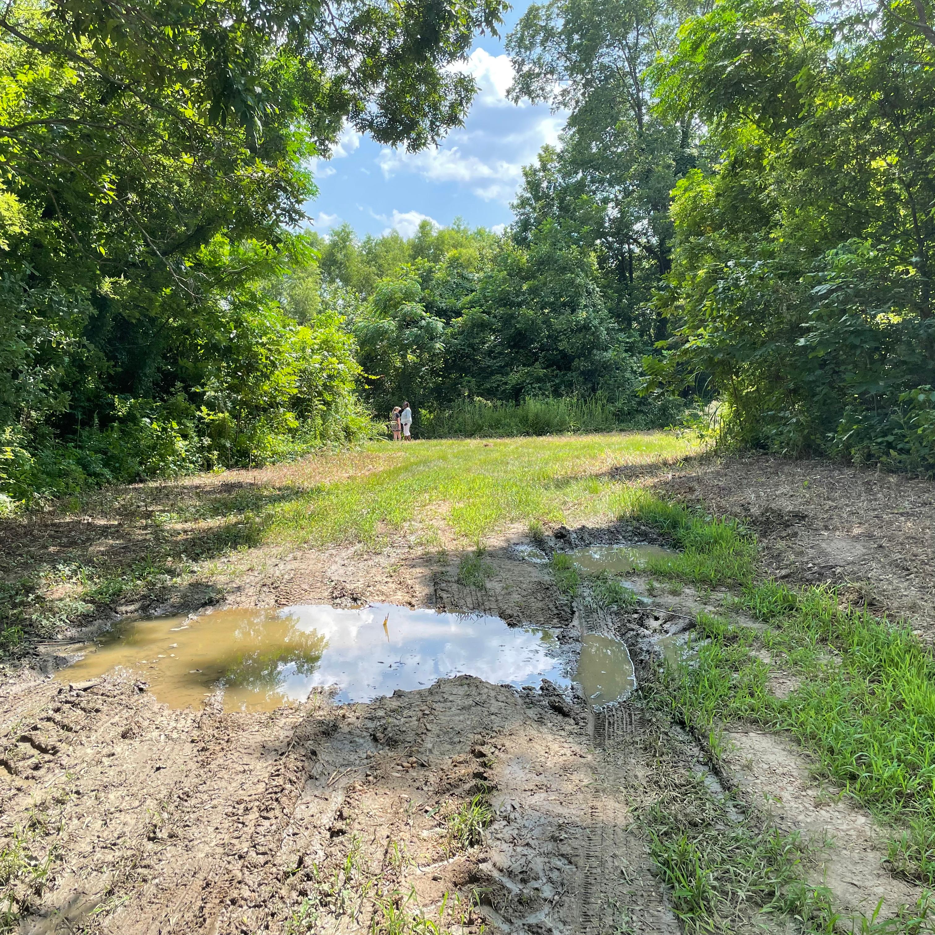 muddy road
