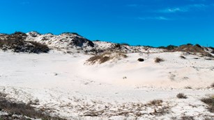 a sand dune with Sea Oats and a bright blue sky