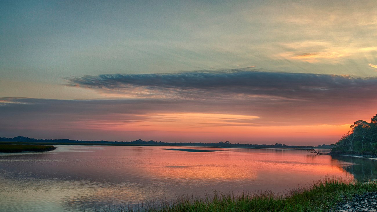 sun rising over a marsh 