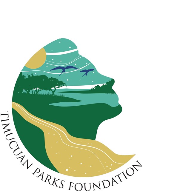 logo of a womans face forming a marsh environment 