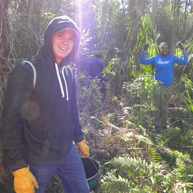 volunteers gather invasive plants