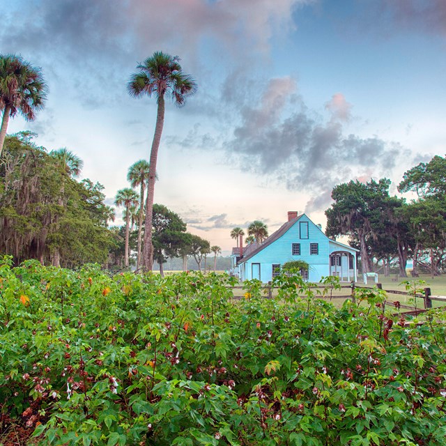 plantation kitchen house and garden
