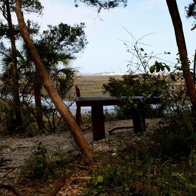 bench on a trail