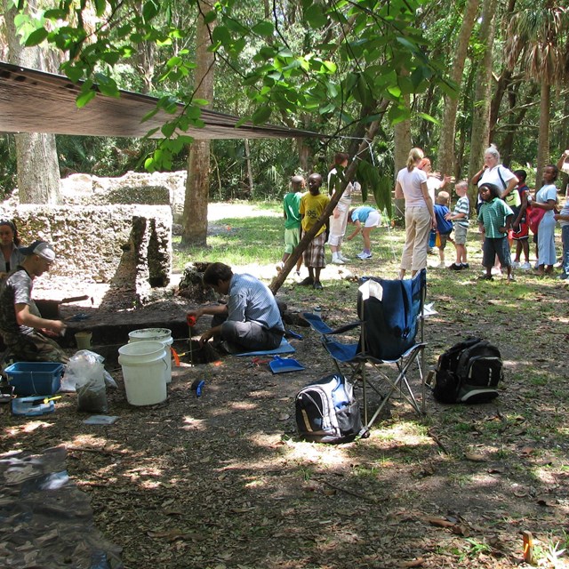 students observe an archaeological dig