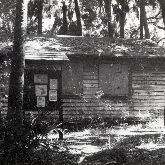 historic photo of boarded up cabin in woods